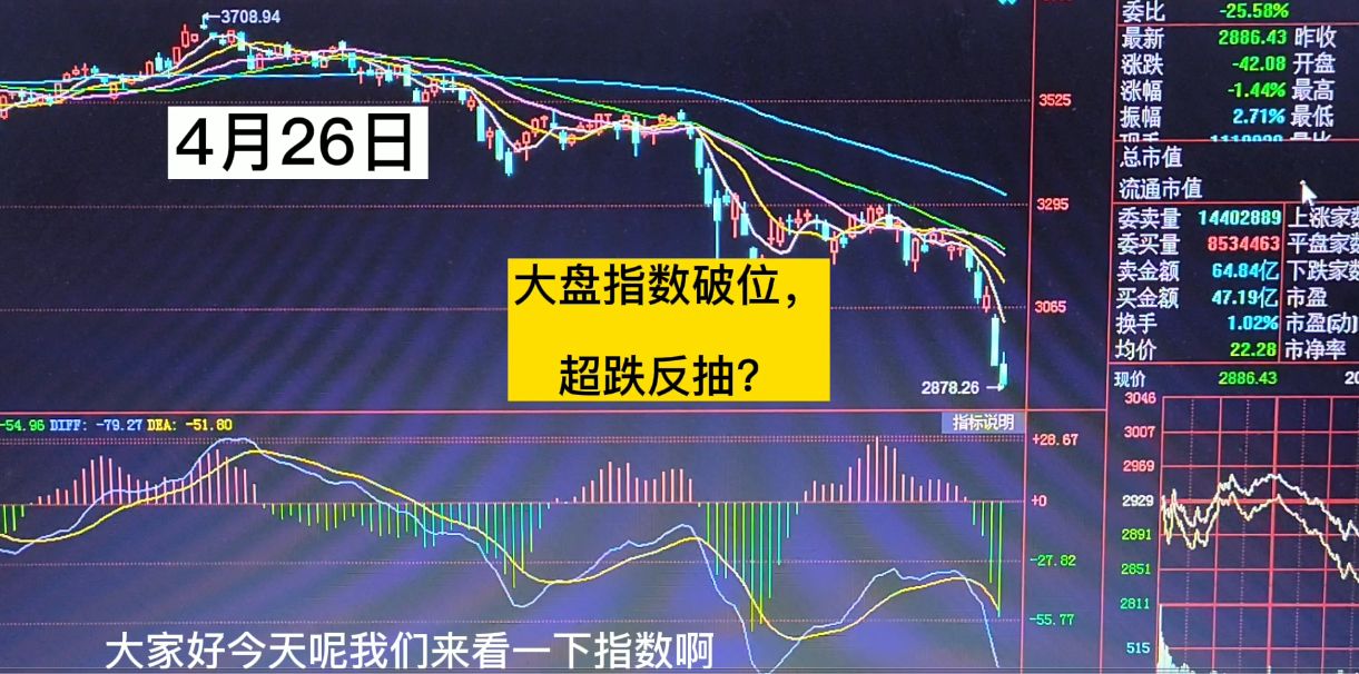 大盘最新动态深度解析报告